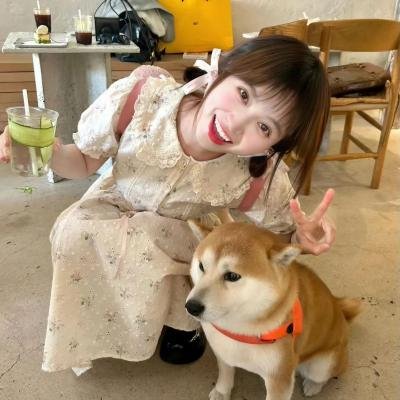 侦察员的功勋